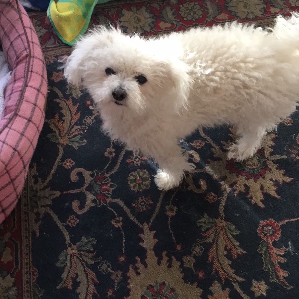Meet your Posher, Marilyn